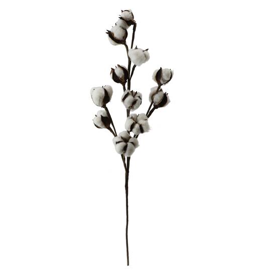 Cotton Stem By Ashland Michaels